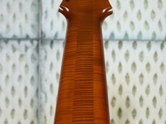 031_stain_begins_on_neck
