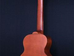047_completed_back_view