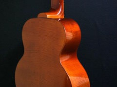 048_back_view_completed