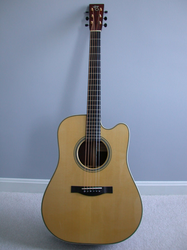 santa cruz guitar